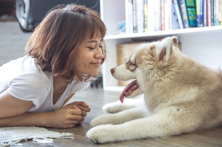 Dogs & Depression